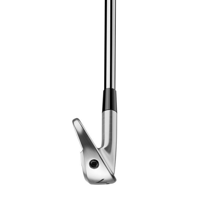 TaylorMade P770 24 Iron Set with Steel Shafts