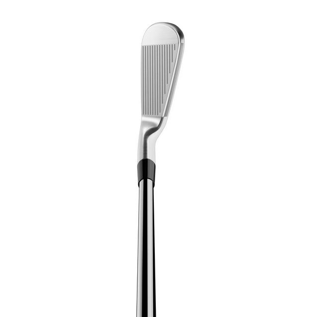 TaylorMade P770 24 Iron Set with Steel Shafts